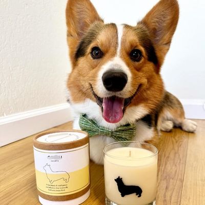 Food Grade Custom Printing Adorable Round Paper Box for Dog Cat PET Food Treats Snack Paper Tube Canister Pet Urns Scattering