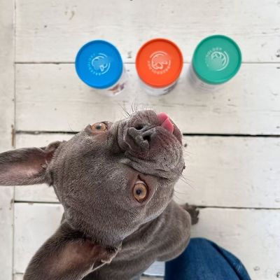 Food Grade Custom Printing Adorable Round Paper Box for Dog Cat PET Food Treats Snack Paper Tube Canister Pet Urns Scattering